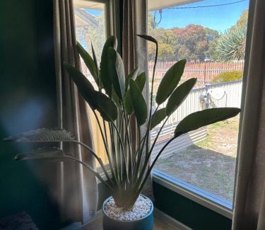 Nulsen Casa | 3 Bedroom Home Esperance