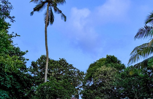 Kathaluwa Villa | 3-bedroom Lakeside Villa With Pool in Ahangama