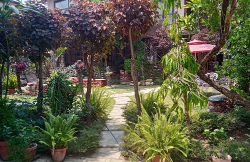 Bullawala Casa | 3 bedroom set oxygen homestay