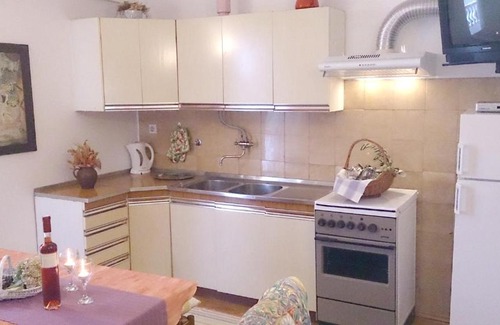 Privlaka Apartamento | 3 bedrooms appartement at Privlaka 250 m away from the beach with sea view and enclosed garden