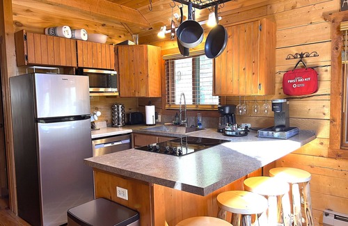 Saint Mary's Casa | 3 BR Mountain Log Cabin at St. Mary's Glacier