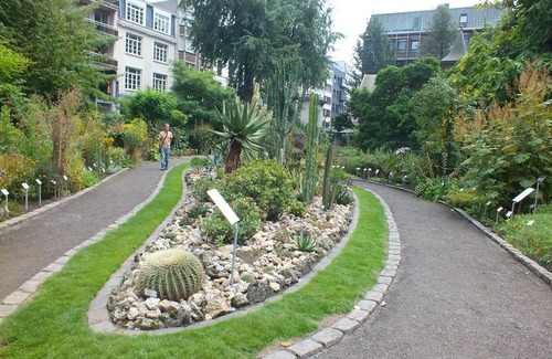 Jewish Quarter Apartamento | 3 Family-friendly Units in Downtown Antwerp! Self-Parking and Sun Terrace!