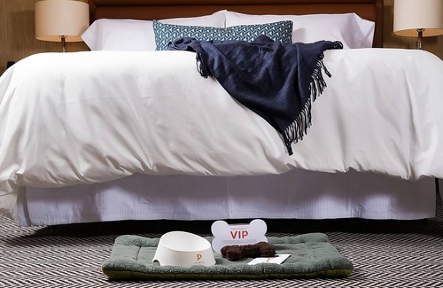 Downtown Portland Hotel | 3 Modern Units at Dossier Hotel! Near Portland Japanese Gardens! W/ Parking
