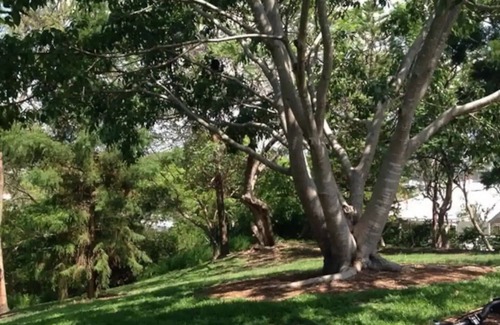Teneriffe Casa | Leafy, Quiet Hideaway! 2bed/2bath/1car~ Teneriffe