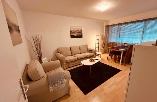Wynau Apartamento | 3-Room Apartment for Business Travelers or Familie, Free WiFi & TV with 100 Countries, DAZN, Sky, Netflix & Disney