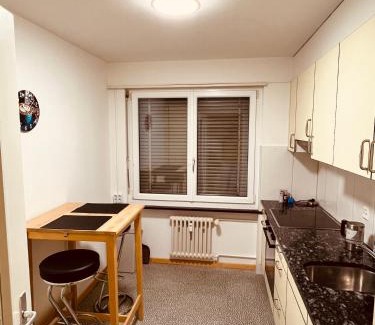 Wynau Apartamento | 3-Room Apartment for Business Travelers or Familie, Free WiFi & TV with 100 Countries, DAZN, Sky, Netflix & Disney