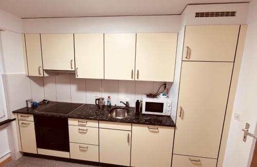 Wynau Apartamento | 3-Room Apartment for Business Travelers or Familie, Free WiFi & TV with 100 Countries, DAZN, Sky, Netflix & Disney