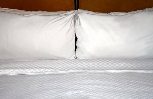Northeast Virginia Beach Hotel | Hotel de 3 estrellas ∙ Four Points by Sheraton Virginia Beach Oceanfront