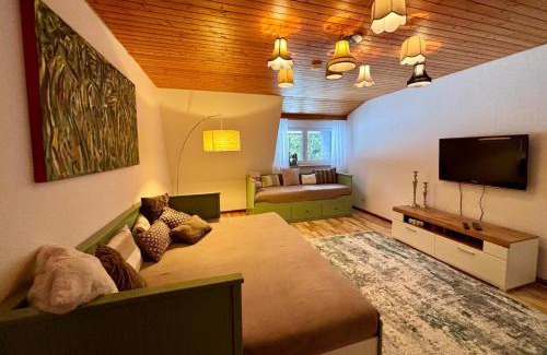 Schoenwald Apartamento | 3-Zimmer-Apartment Nähe Triberger Wasserfälle & Wanderwege