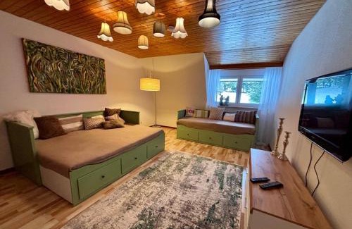 Schoenwald Apartamento | 3-Zimmer-Apartment Nähe Triberger Wasserfälle & Wanderwege