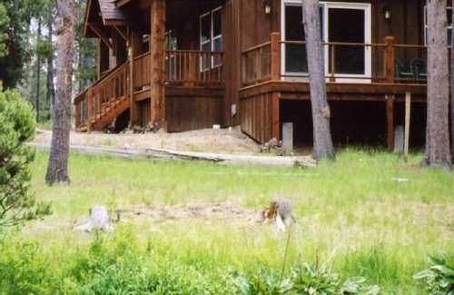 Sunriver Casa | 300 pies de frente de río - en el río Fall. ¡Relájate y reconecta con la naturaleza!