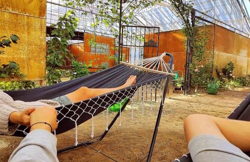 Pargas Otro | 300m2 greenhouse