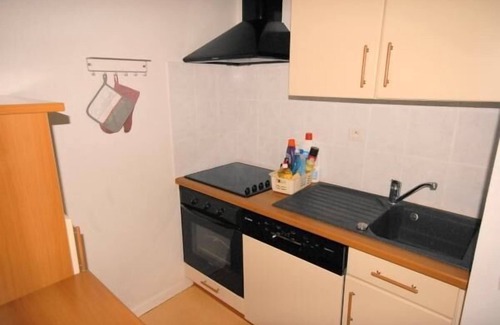 Eaux-Bonnes Apartamento | 30m del centro estación, 1.o piso, vista pistas, fitness, piscina, sauna, tv, local para esquís