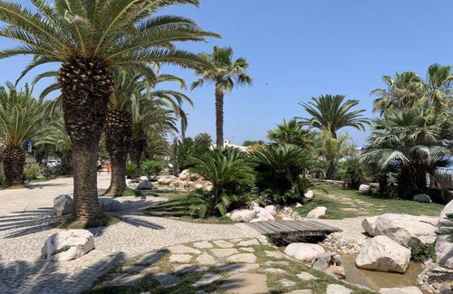 Porto d'Ascoli Apartamento | 35 m² Apartment ∙ 1 bedroom ∙ 4 guests