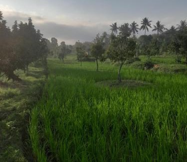 Kecamatan Sikur Cabina | 361 Alam