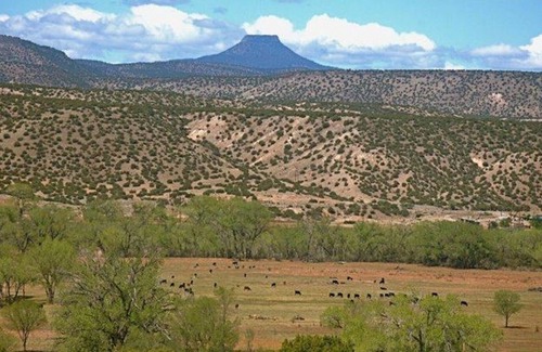 Abiquiu Casa | 365+ Comentarios! 360 vistas! Estilo B & B, Bañera de hidromasaje, Caballos, Mini burros, Alpacas