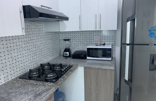 Mendoza Apartamento | 3bedroom apartment with private terrace