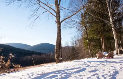Arkville Cabina | 3BR Mountain View Ski Cabin with Hot Tub