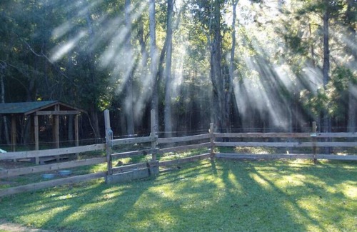 Hubert Casa | 3miles to Hammocks beach state park, Swansboro, Lejeune on private 22 acres