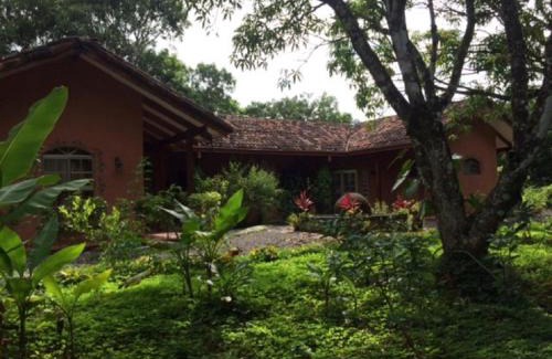 Coyolar Casa | 4 Architectural homes, Pool and High-Speed Internet