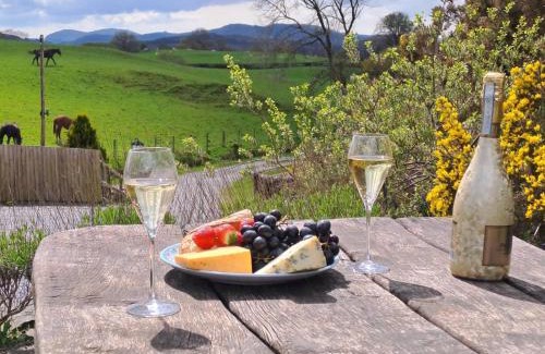 Snowdonia National Park Casa | 4 Bed in Betws y coed 52111
