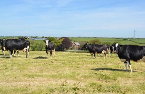 Bude Casa | 4 Bed in Bude SSHAM