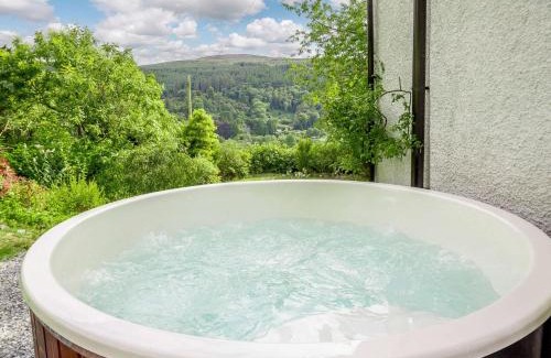 Corwen Casa | 4 Bed in Corwen 88868