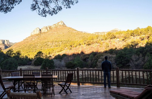 Ocampo Cabina | 4-bedroom charm cabin in a sanctuary of biodiversity and conservation