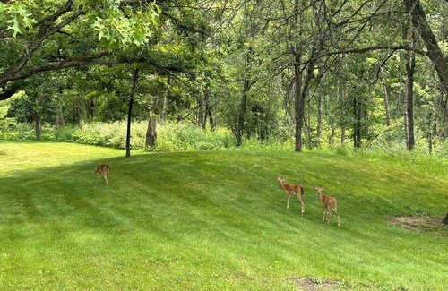 Honey Creek Casa | 4-bedroom house on 22 acres in beautiful Kettle Moraine