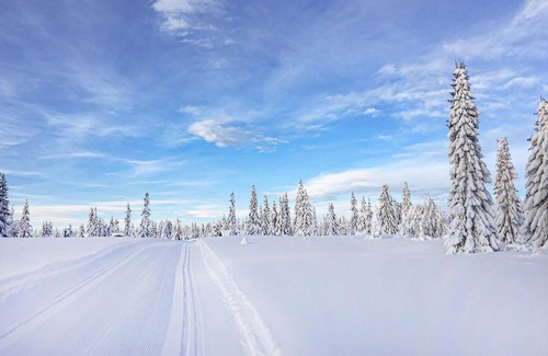Sjusjoen Casa | Bonita casa de 4 dormitorios en.