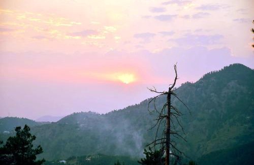 Dhirkot Casa | 4 BR Luxe Resort In Murree Available For Events