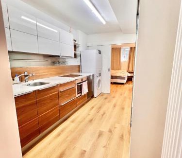Horgen District Apartamento | 4 mins walk Thalwil Station, Free Parking, Historical