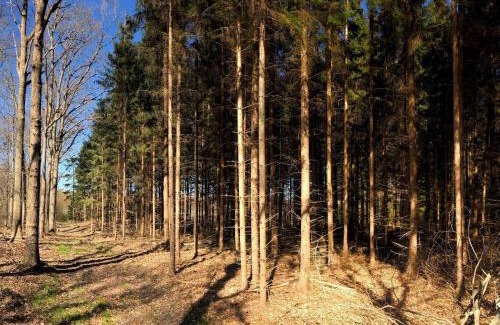 Karrebksminde Casa | 4 person holiday home in Karrebæksminde