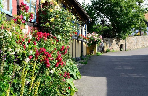 Allinge Casa | 4 Person Holiday Home in Allinge