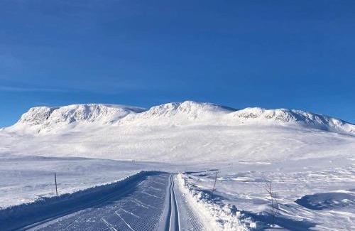 Hol Municipality Apartamento | 4 person holiday home in GEILO-By Traum