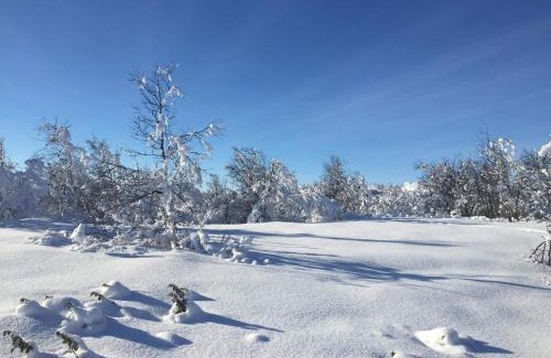 Hol Municipality Apartamento | 4 person holiday home in GEILO-By Traum
