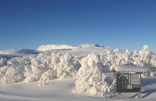 Hol Municipality Apartamento | 4 person holiday home in GEILO-By Traum