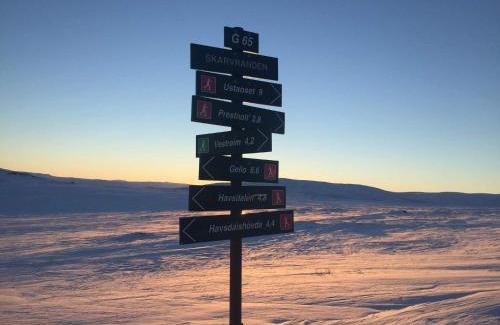 Hol Municipality Apartamento | 4 person holiday home in GEILO-By Traum