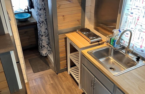 Hico Cabina | 4 Tiny Town Modern Tiny Home Animals Fire Pit