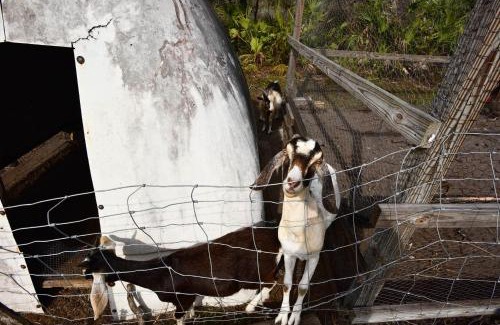 Sebring Casa | 40-Acre Farm with Animals and Fishing in Sebring!