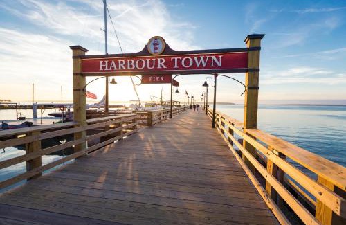 Beach Lagoon Casa | 40 Turtle Lane at The Sea Pines Resort