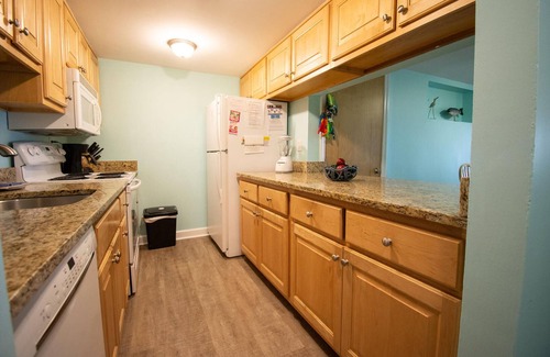 Saint Helena Island Casa | 406 Capt. John Fripp II