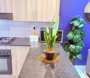 Emalahleni Apartamento | 43 Home self Catering with backup power