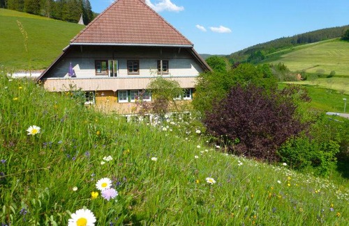 Voehrenbach Casa | 45 m² Casa rural ∙ 1 habitación ∙ 3 personas