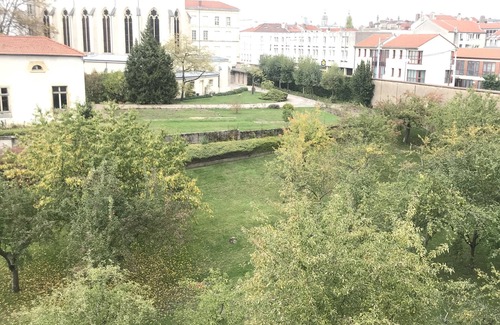 Saint Nicolas - Charles III - Ville vieille - Trois Maisons - Leopold Apartamento | 45m2 Nancy, bedroom, gym