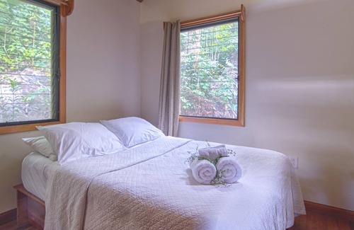 Ribera del río Macal Cabina | $ 49 - $ 74 por noche! Alquiler de vacaciones de un dormitorio en Belice en la selva tropical