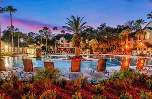 Bearss Plaza Casa | 4BD 2 MI to USF Free Pool + 24 Hour Gym