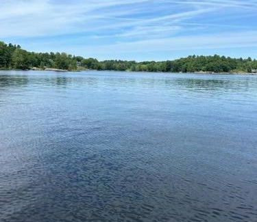 Muskoka Lakes Casa | 4Bdrm Muskoka Retreat, Fire Table, Games, Netflix