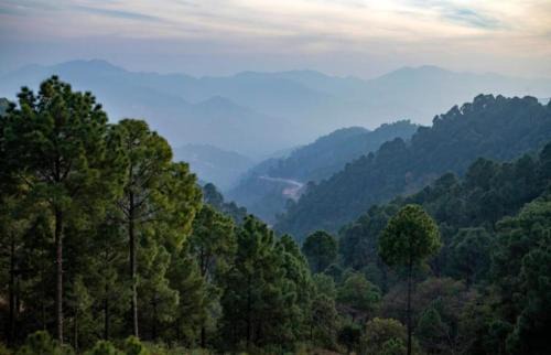Dharampur Apartamento | 4bhk serviced villa for family events ! BBQ & bonfire facility available ! Kasauli By ExoticStays
