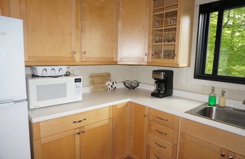 West Dover Chalet De Esquí | Casa Verde de la Montaña - MT SNOW | SHUTTLE GRATIS | CAMINO DE ESQUÍ